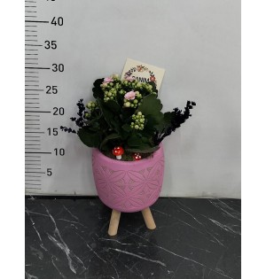 Ayaklı Saksı da Pembe Kalançhoe